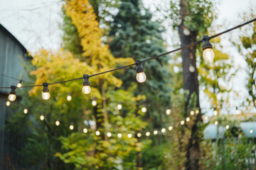 Outdoor string lights glowing softly in a garden with trees and fall foliage
