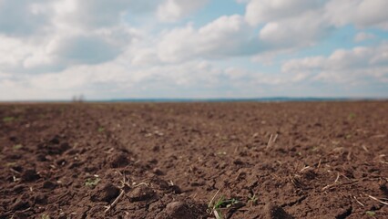 Agricultural landscape arable field. business agriculture concept. walk on brown black soil arable a land. preparation for sowing crops in agriculture landscape crop motion steadicam. farming field