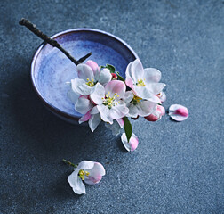 Beautiful apple blossoms on a small ceramic cup. Copy space