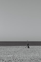 People having fun at the beach