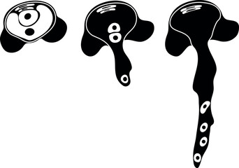 Black silhouette of pollen germination and pollen tube growth in gymnosperms