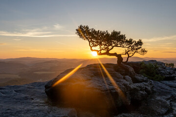 Sächsische Schweiz - Sonnaufgang auf dem Lilienstein © Andy