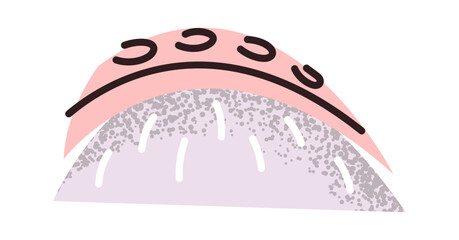 Classic sushi with octopus tentacle © wooster