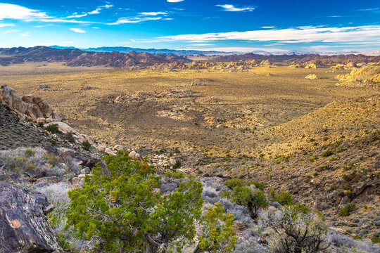 Valley and road view from Ryan Mountain Trail