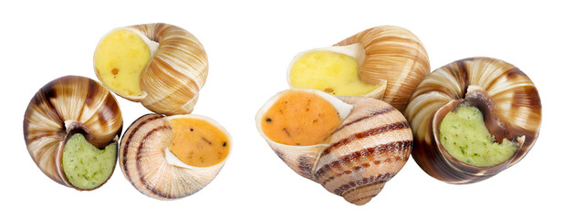 escargot snail filled with different fillings isolated on white background. Top view. Flat lay © kolesnikovserg