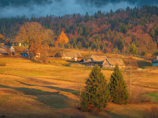 mountains village in Carpathian with cloud about forest in warm sun light