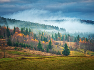 autumn landscape with fog above pines forest and hills 