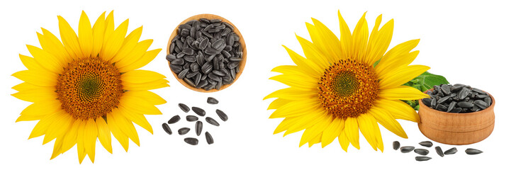 Sunflower with seeds in wooden bowl isolated on a white background. Top view. Flat lay