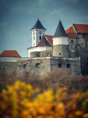 portrait view to towers of church and castle through blurred leaves on foreground