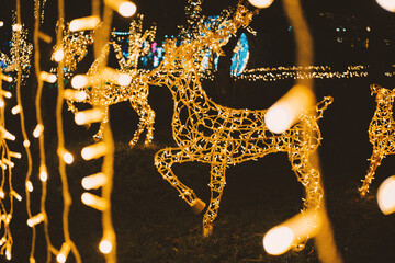 Radiant golden reindeer figures brightly shine, surrounded by twinkling decorative lights at night.