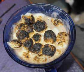 Toasted marshmallows in a cup of cocoa