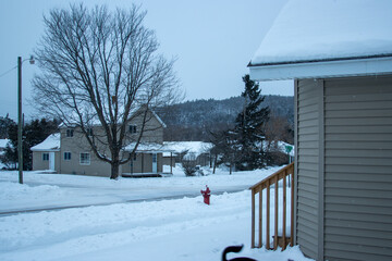 A snowy neighborhood in winter
