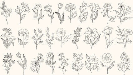 Set hand drawn curly grass and flowers