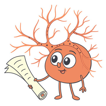 Cute cartoon neuron character happily holding a rolled up scroll or document representing an important biological discovery or successful learning achievement