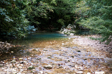 Forest stream flows gently between mossy rocks and trees, bringing fresh water movement to peaceful woodland.