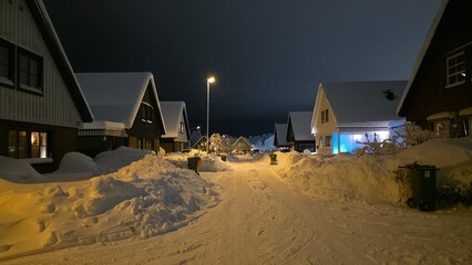 winter night scene in the village 