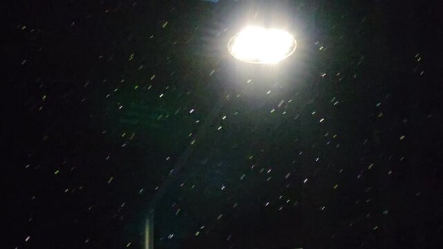 Snowfall under glowing streetlight at night