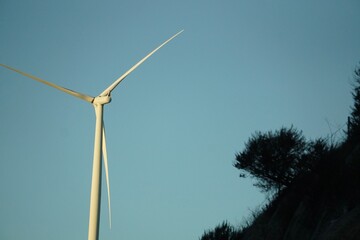 Wind Turbine with Bush in Foreground
