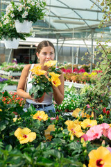 Girl in sales area of flower exhibition examines Chinese hibiscus flower, chooses plants for...