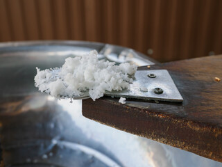 ガタイで削ったココナッツの実　タイの伝統料理