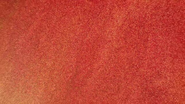 Cranberries avant la r&eacute;colte