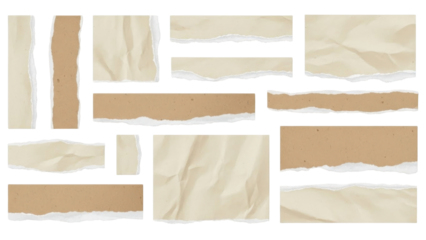 Collection of various torn paper pieces, showcasing different textures and shades of brown and beige.