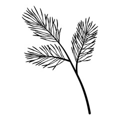 Slender upright evergreen branch with three main offshoots, simple hand drawn conifer sprig for winter cards and branding
