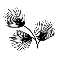 Three small tufts of pine needles, tiny evergreen details drawn in ink, perfect as subtle accents in winter compositions and patterns