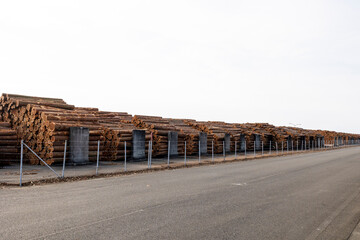 港の丸太置き場