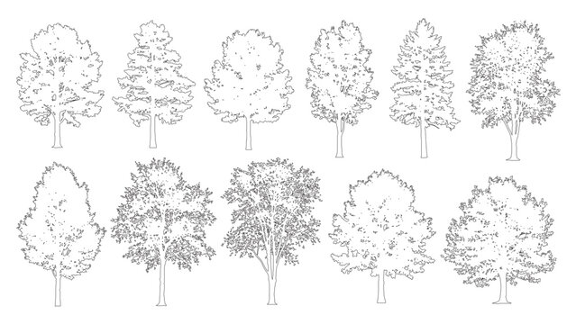 Minimalist Side View Trees, Vector Outlines for Blueprints