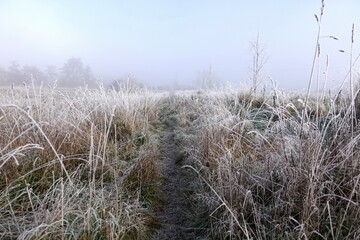 Path through the countryside on a frosty winter morning