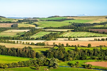 Naklejka premium Scotish fields and farms, Southeast Scotland, UK