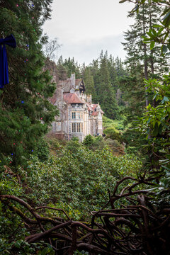 New Years Day Walk around Cragside, Northumberland, January 2026