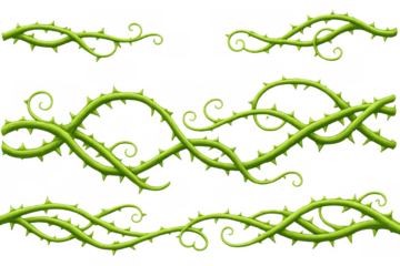 Thorny green tangled vines creating a natural border, climbing plant branches decorative element on transparent background