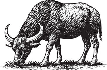 Buffalo Grazing Linocut Etching Black and White Wildlife Illustration