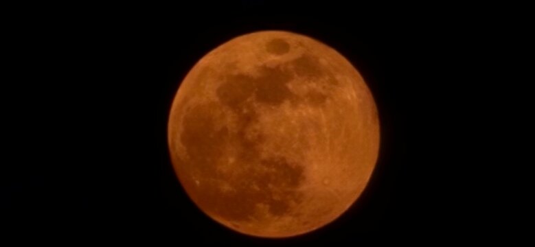 A large orange moon with visible surface details illuminated against a dark background in a clear night sky