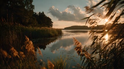 Quiet summer lake framed by tall reeds warm natural tones peaceful scenery reflection calm escape