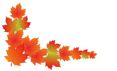 red leaves for frames and others