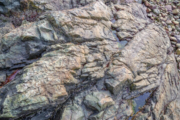 Rugged Rocky Shore With Pebbles And Tide Lines On West Coast Rocks Along British Columbia