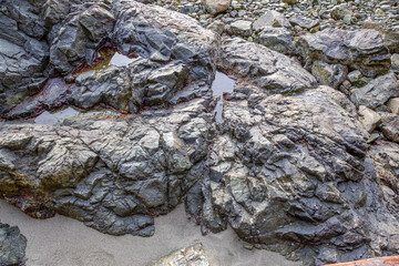 Coastal Rocky Shore With Tide Pools and Wet Gray Rocks Along a Pebble Beach