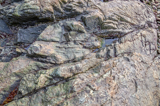 Coastal Rocky Shore With Tide Pools and Wet Gray Rocks Along a Pebble Beach - Powered by Adobe