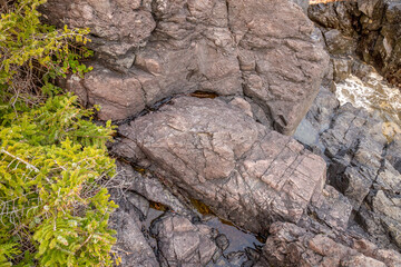 Rugged Rocky Shoreline with Craggy Rocks and Ocean Waves in Tofino, Vancouver Island