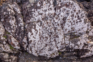 Rugged Rocky Shoreline with Craggy Rocks and Ocean Waves in Tofino, Vancouver Island