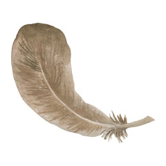 Watercolor flying feather clipart. Illustration in earth colors