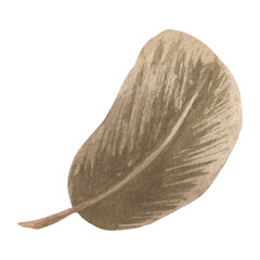 Boho watercolor brown feather clipart. Illustration in earth colors for invitations, dream catcher