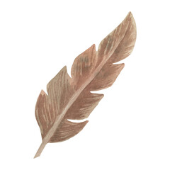 Boho watercolor brown feather clipart. Illustration in earth colors for invitations, dream catcher
