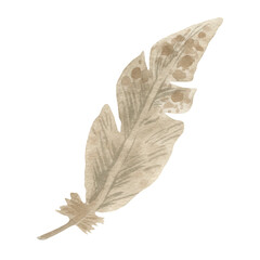 Boho watercolor brown feather clipart. Illustration in earth colors for invitations, dream catcher