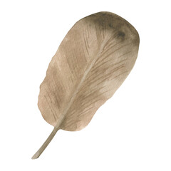 Boho watercolor brown feather clipart. Illustration in earth colors for invitations, dream catcher