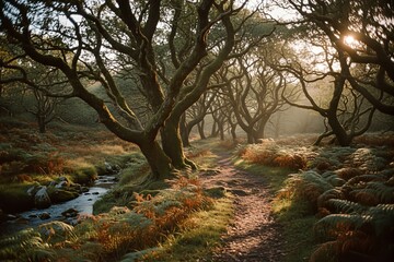 Ancient gnarled trees forest path winding through a mystical landscape bathed in golden morning light, creating a serene and enchanting atmosphere.