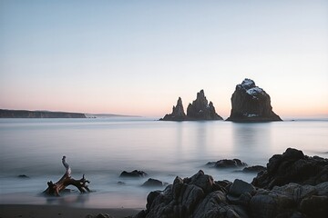 Majestic sea stacks rise from the tranquil ocean water, with a piece of driftwood resting on the rocky shore under a soft pastel sky at dawn.